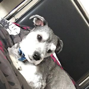 Meet your Posher, Arely